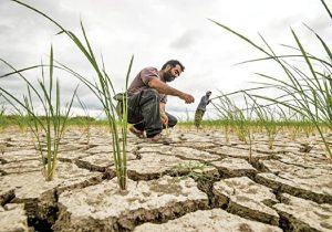 خسارت‌های قطع برق بر تن نیمه جان کشاورزی خوزستان
