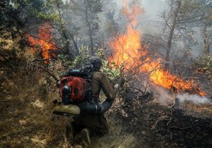 آتش ۲۲۰ بار امسال به جان جنگل و مرتع خوزستان افتاد