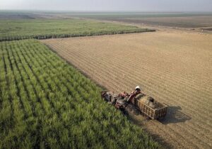 فرصت‌های مغفول در خوزستان؛ شاه کلید توسعه اقتصادی